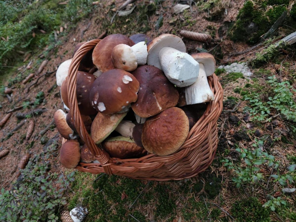 Hostinec U Pejska A Kocicky Марианске-Лазне Экстерьер фото